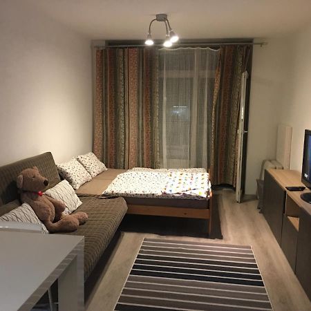 Apartmán Čertovka Harrachov Kültér fotó